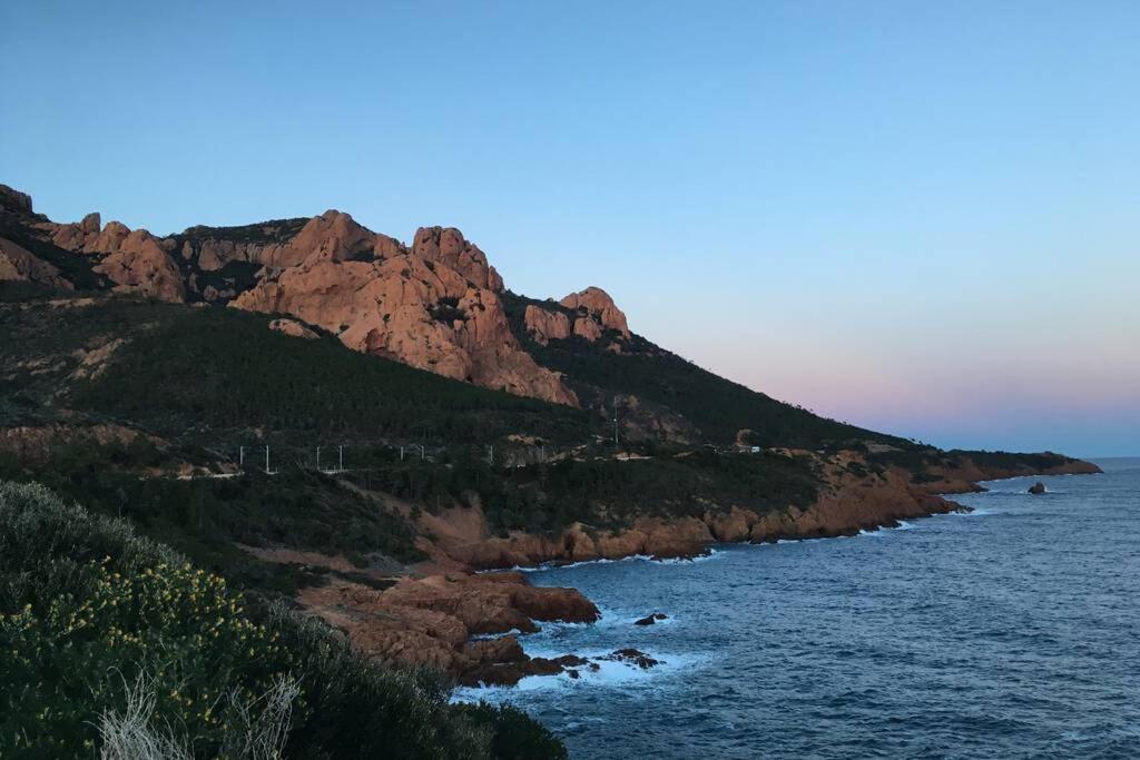 "Les Alizes" Cote Piscine Proche Bord De Mer Saint-Raphaël Buitenkant foto