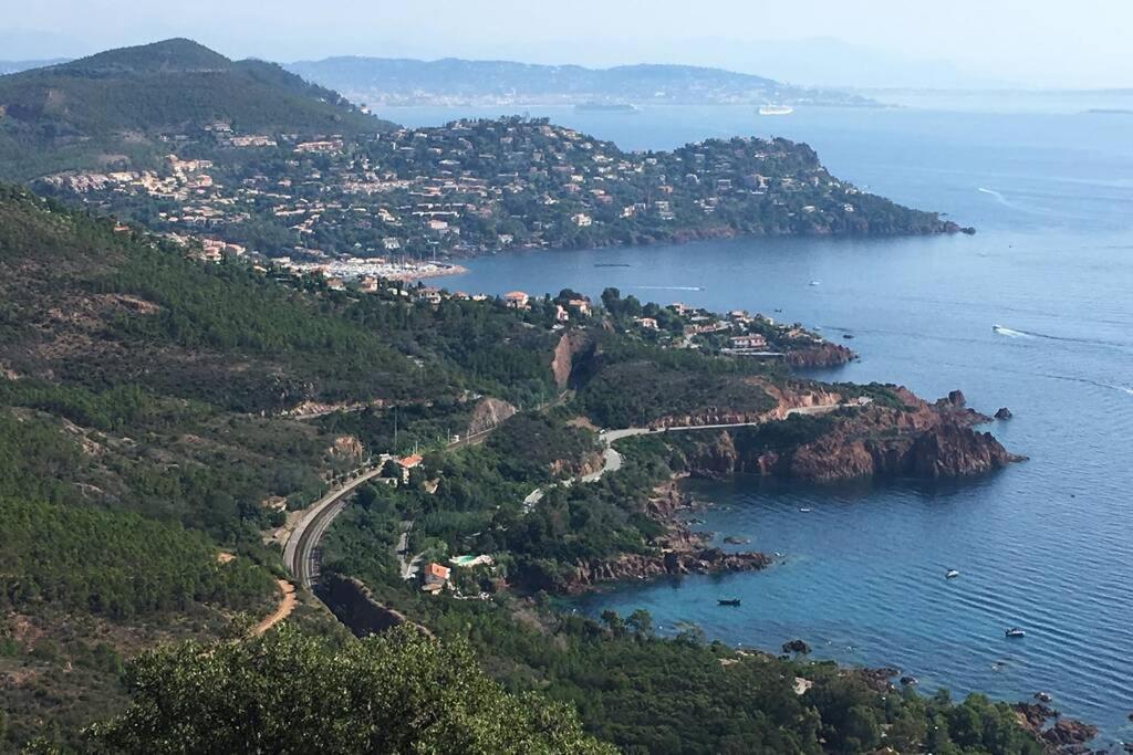 "Les Alizes" Cote Piscine Proche Bord De Mer Saint-Raphaël Buitenkant foto