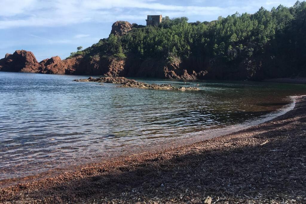"Les Alizes" Cote Piscine Proche Bord De Mer Saint-Raphaël Buitenkant foto