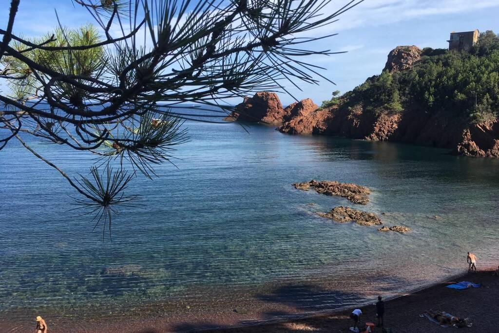 "Les Alizes" Cote Piscine Proche Bord De Mer Saint-Raphaël Buitenkant foto