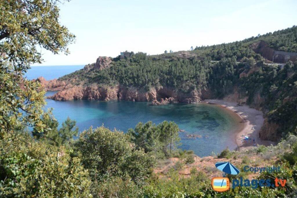 "Les Alizes" Cote Piscine Proche Bord De Mer Saint-Raphaël Buitenkant foto