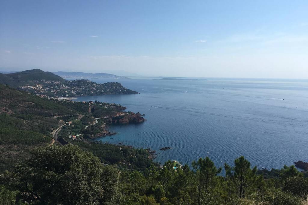 "Les Alizes" Cote Piscine Proche Bord De Mer Saint-Raphaël Buitenkant foto